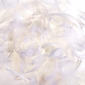 White Feathers in Bag (5g)